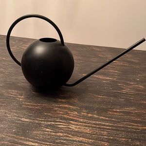 Black watering can